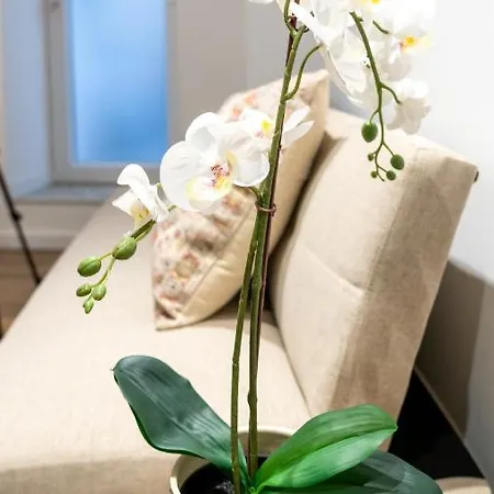 T2 Casa Da Alegria Apartman