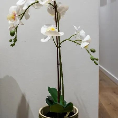 Διαμέρισμα T2 Casa Da Alegria *