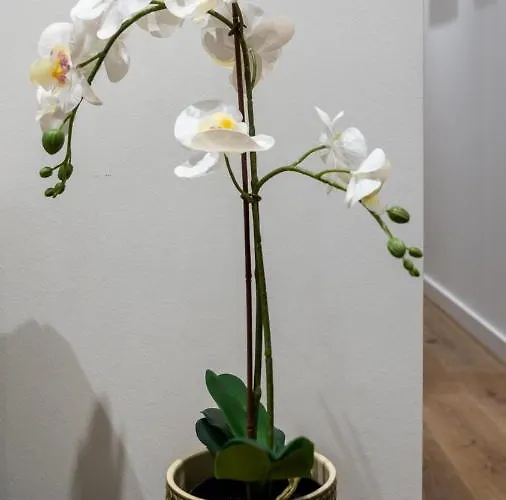 Апартаменты T2 Casa Da Alegria *